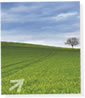 brochure first page